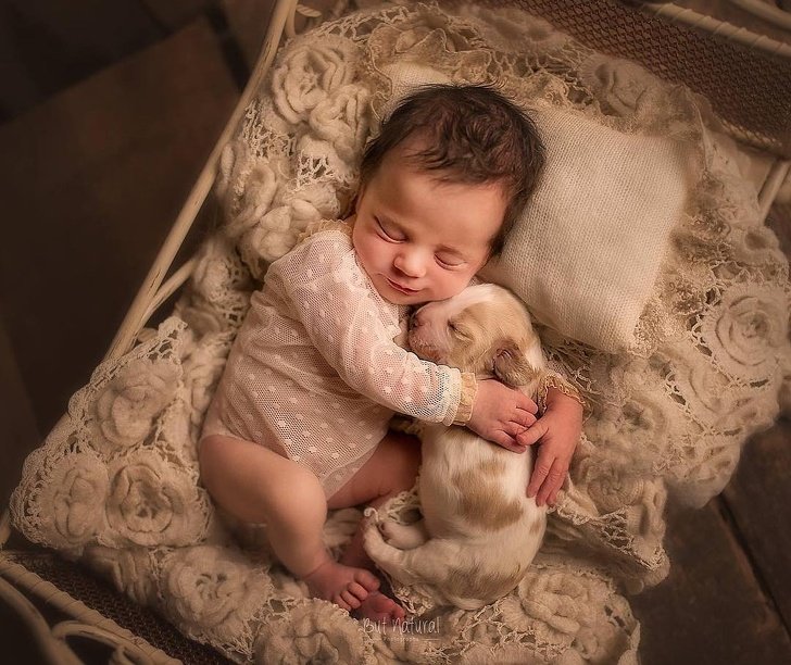 revistacarpediem.com - Fotógrafo faz ensaio com recém-nascidos e filhotinhos e o resultado é muito fofo